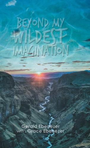 Cover image for Beyond My Wildest Imagination