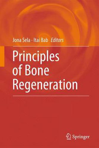 Cover image for Principles of Bone Regeneration