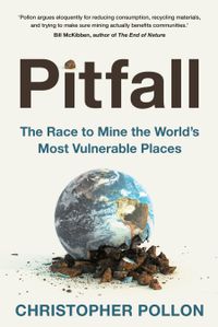 Cover image for Pitfall