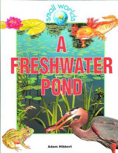 Cover image for A Freshwater Pond