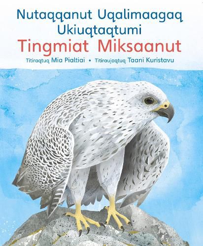 A Children's Guide to Arctic Birds: Inuktitut Roman Orthography Edition