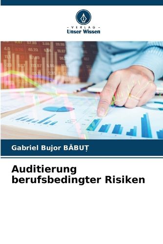 Cover image for Auditierung berufsbedingter Risiken
