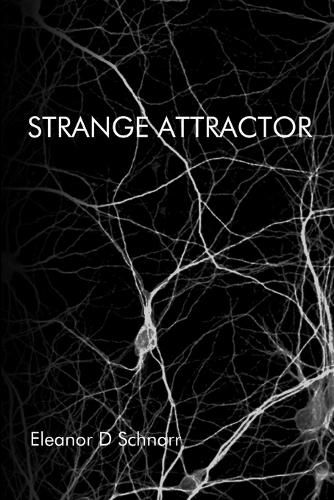 Cover image for Strange Attractor