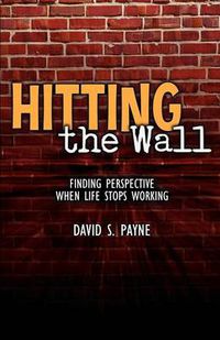Cover image for Hitting the Wall