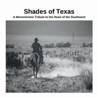 Cover image for Shades of Texas