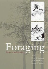 Cover image for Foraging: Behavior and Ecology