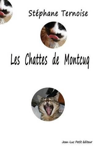 Cover image for Les chattes de Montcuq