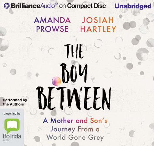 Cover image for The Boy Between