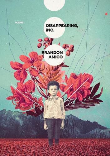 Cover image for Disappearing, Inc.