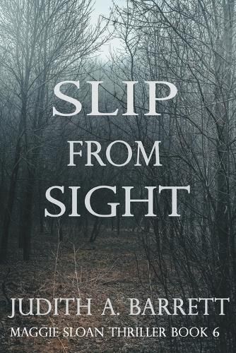 Cover image for Slip from Sight