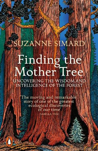 Finding the Mother Tree: Uncovering the Wisdom and Intelligence of the Forest