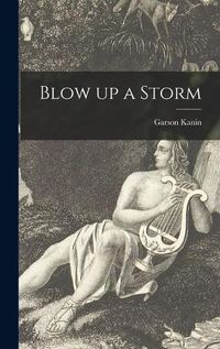 Cover image for Blow up a Storm