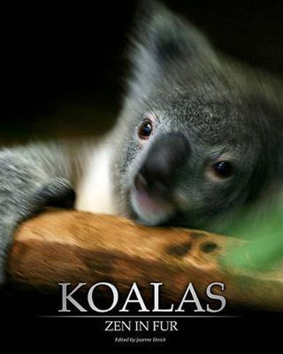 Cover image for Koalas: Zen In Fur