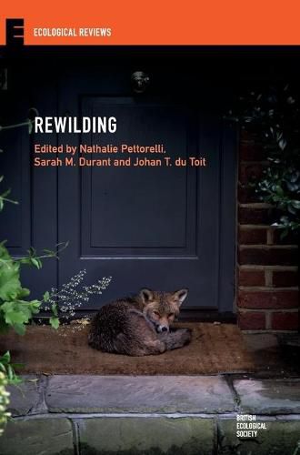 Cover image for Rewilding