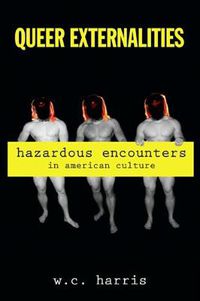 Cover image for Queer Externalities: Hazardous Encounters in American Culture