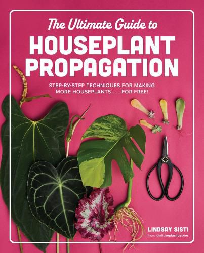 Cover image for The Ultimate Guide to Houseplant Propagation