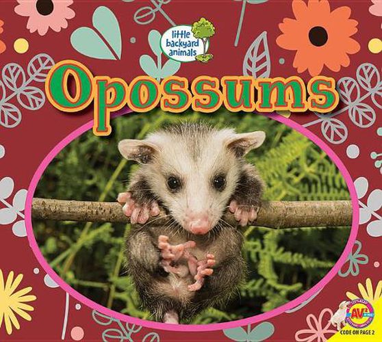 Opossums