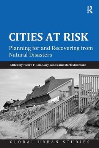 Cover image for Cities at Risk: Planning for and Recovering from Natural Disasters
