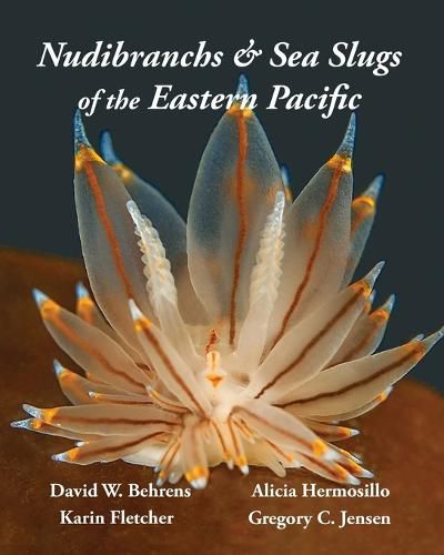 Cover image for Nudibranchs & Sea Slugs of the Eastern Pacific