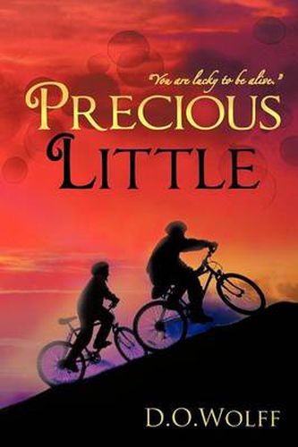 Cover image for Precious Little