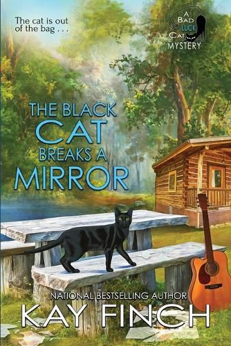 Cover image for The Black Cat Breaks a Mirror