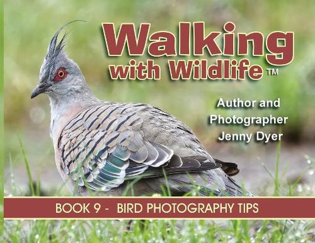 Cover image for Walking With Wildlife - Book 9