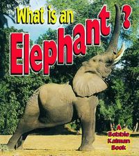 Cover image for What is an Elephant?