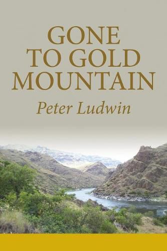 Cover image for Gone To Gold Mountain