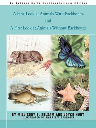 Cover image for A First Look at Animals with Backbones and a First Look at Animals Without Backbones