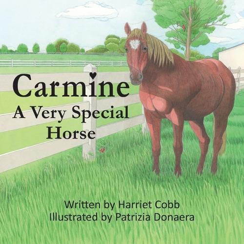 Cover image for Carmine