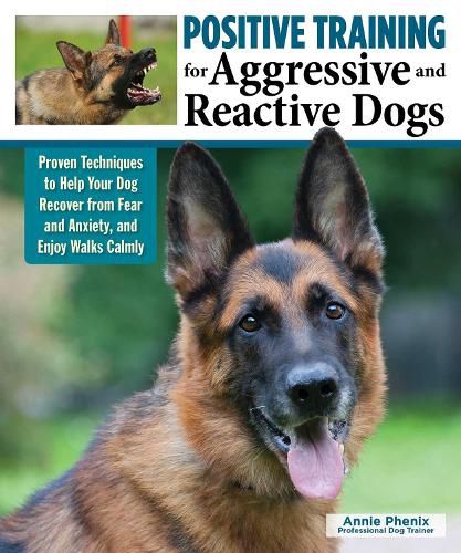 Positive Training for Aggressive and Reactive Dogs: Help Your Dog Enjoy Walks Calmly