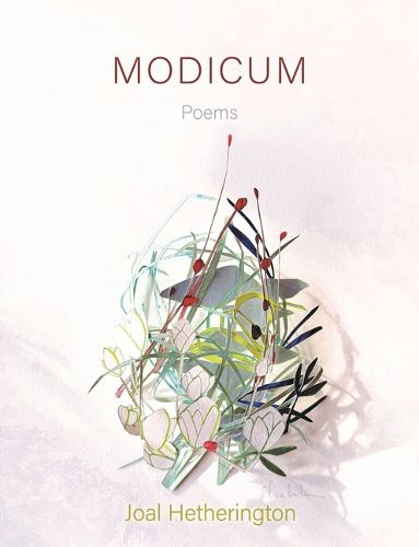 Cover image for Modicum