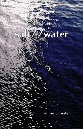 Cover image for Salt/ /Water