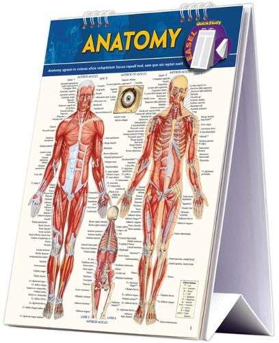 Cover image for Anatomy Easel Book: a QuickStudy reference tool