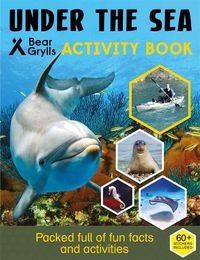 Cover image for Bear Grylls Sticker Activity: Under the Sea