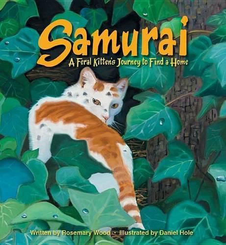 Samurai: A Feral Kitten's Journey to Find a Home