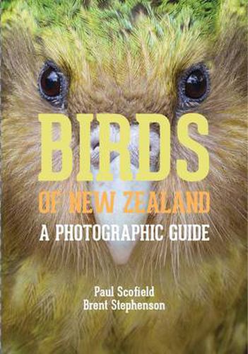 Cover image for Birds of New Zealand: A Photographic Guide