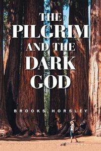 Cover image for The Pilgrim and the Dark God