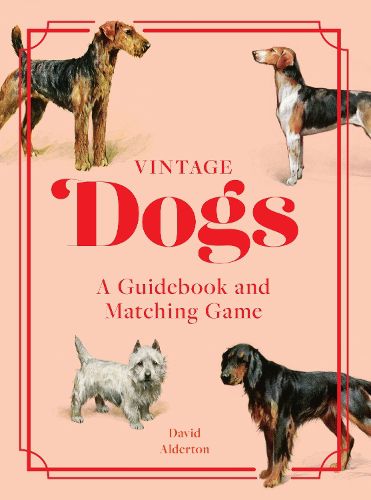 Cover image for Vintage Dogs