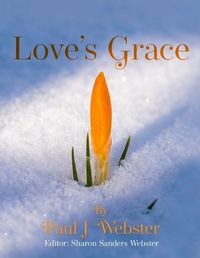 Cover image for Love's Grace