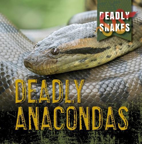 Deadly Anacondas