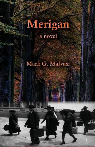 Cover image for Merigan