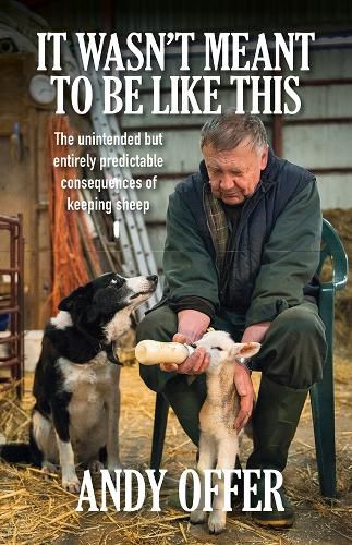 Cover image for It Wasn't Meant To Be Like This