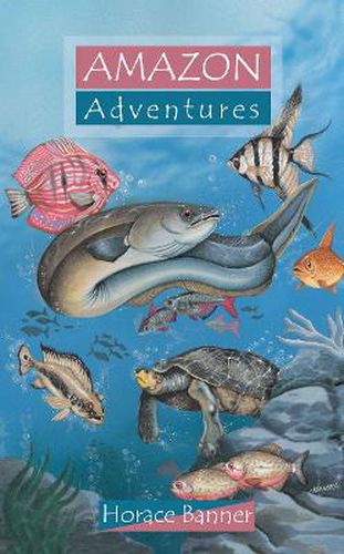 Cover image for Amazon Adventures