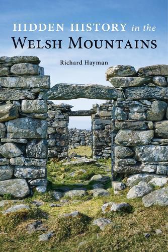 Cover image for Hidden History in the Welsh Mountains