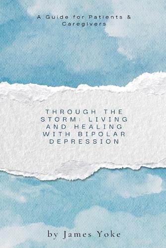 Cover image for Through the Storm