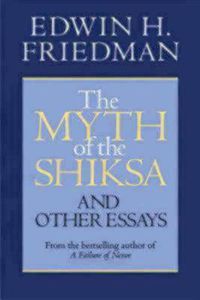 Cover image for The Myth of the Shiksa and Other Essays