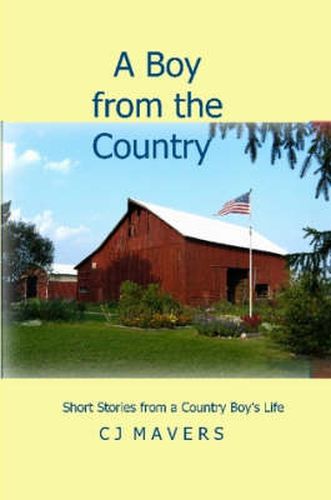 Cover image for A Boy from the Country