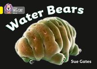 Cover image for Water Bears: Band 03/Yellow