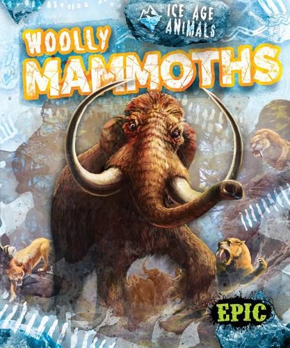 Cover image for Woolly Mammoths